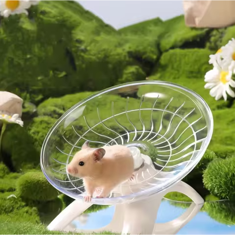 Small Pet Silent Running Practice Wheel Hamster Mouse Hedgehog Parrot Ideal Choice for Small Animals