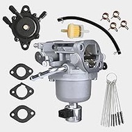 699807 Carburetor Carb Kit Compatible with 697722 Carb 404577 4045A7 405577 406577 406677 407577 407