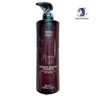 Stamiker Newgen Regeranating Dikson Shampoo 500ml - BK