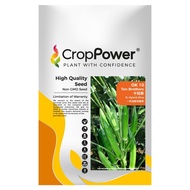 Benih Bendi Okra Ten Brothers OK10 (200gm)