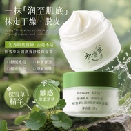 Centella Asiatica Moisturizing Stay Up Night Skin Care Moisturizing Cream Moisturizing Skin Moisturi