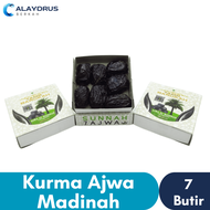Kurma Nabi Ajwa Al Madinah 7 Butir Premium Original Tamr Barokah Untuk Oleh-Oleh Haji &amp; Umroh