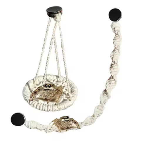 Hangable Jumping Spider Bridge Hermit Crab Climbing Enclosure Bridge Swings Spider/Gecko Jumping Sta