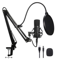 Cross-Border New USB Condenser Microphone Computer Microphone bm-800 BM-700USB Microphone K Song