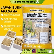 2 LITER BURN AKADAMA BONSAI SUCCULENT CACTUS SOIL 烧赤玉土