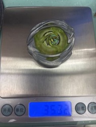 UX21 全新高重/頂重35.32g 薯片龍上蓋 飛龍翱翔 Hover Wyvern
