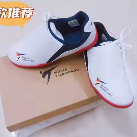 2026 Original Brand Professional Taekwondo Training Shoe Comfortable Wearable Martial Arts Shoe Desi