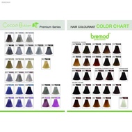Bremod Hair Color Premium Series Cocoa Butter Fashion Ash Gray Blonde BR-R308