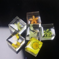 High-value Epoxy Plant Specimen Real Flower Crystal Epoxy Three-dimensional Children's Room Bedroom 