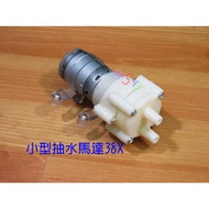 D DC12V Small pump Motor 38X _ 5V6V9V pump DC Water pump Fish Tank pump Waterer Watering Machine Suc