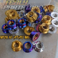 MOR 10 OR M6 NUT PROBOLT 10 MOR PROBOLT 10 NUT 10 PROBOLT SILVER NUT 10 PROBOLT BLUE NUT 10 PROBOLT 