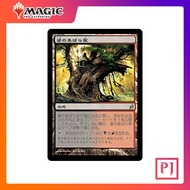 [MTG] Auntie's Hovel [LWR] [LAND] [RARE] [NORMAL] [JPN] (Magic Card/Magic the Gathering)