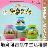 Tamaki Life Scene In Bottle Capsule Toys Landscaping In Electronic Pets Chicken Mochi Meiji Huaji Gu