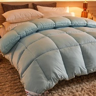 95% Goose Down Duvet Comforter Quilted Perfect Comfort Double Single Size Winter Thick Blanket Solid