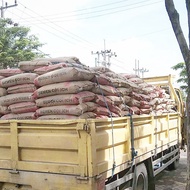 Semen Conch 40 kg Murah ( COD sopir ).