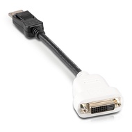 BizLink DisplayPort DP Male to DVI DVI-D Female Video Graphic Card Adapter Cable