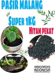 TerOri PASIR MALANG SUPER 1KG media tanam sekulen aglaonema media