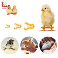 [Lovoski] 15 Pieces Chicken Hobble Braces Baby Chick Leg Hobbles Reusable for Canaries