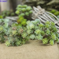 POMAT Mini Artificial Cactus Plant, Plastic 24 Heads Artificial Succulent Plant, Simulation Cactus R