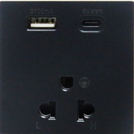 Local Socket Ellis Model (E10LUSBC) Three-Hole Plug with USB & USBC Frame Not Included