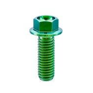RISON TITANIUM Green M4x0.7x10mm Hex Flange Screws