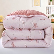 Taiwan Ready Stock Washed Cotton Soy Quilt Core Four Seasons Thickened Winter Spring Autumn Double S