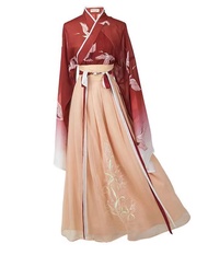 YY GEWETAO Hanfu Dress For Women, Hanfu Tang Made Costume Hanfu Dress Cosplay Costume Hanfu (L:(Reco