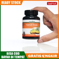 Kapsul Gamat Emas asli Original - Obat Gamat Kapsul - Obat Hernia Pria Dewasa - Obat Herbal Turun Be