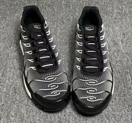 Nike Air Max Plus TN Black/Silver