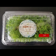 Fresh Herbs : Dill ± 20 grams [Plating Deco]