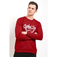 Cardinal Men's Sweater C0161J11A