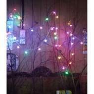 Tree Branches and Twigs for Interior Decoration