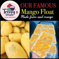 Mango Float Tub 500ml