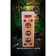 Active speaker box. 5 & 6 in active speaker box