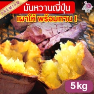 มันหวานญี่ปุ่น เบนิฮารุกะ เผาให้พร้อมทาน 5kg มันญี่ปุ่นหวาน มันหวานญี่ปุ่น มันหวาน มันหวานญี่ปุ่นเบน