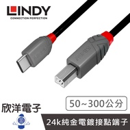 LINDY Type-C TO B USB2.0 Male Type-B Transmission Cable 0.5~3m