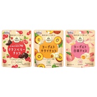 Japan Masaei emmy Fruit Veil Sandwich Chocolate Cranberry Kiwifruit White Peach Zipper Bag
