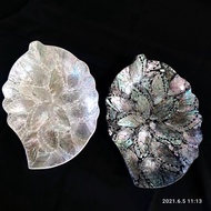 Abalone leaf shell plate 20x25cm premium shell plate MA051 shell plate