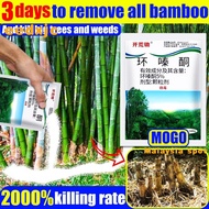 3 Days to remove all bamboot  pokok kayu besar 500g Racunpokok paling kuat Spot Tree killer 100%Conc