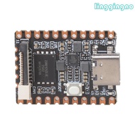 RR Game Console PPPwn IC Chip 9 00 11 00 Firmware Support HDD Check Bypass