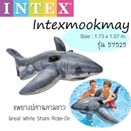 Intex 57525 แพยางเด็ก ลายปลาฉลาม เล็ก