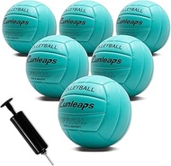 Runleaps 6 Pack Volleyballs, Waterproof Indoor Outdoor Volleyball for Beach Game Gym Training with P