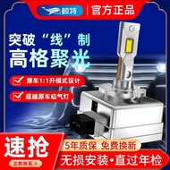 Whale Special Original Car D1S/D2S/D2H/D2R/D3S/D4S/D5S/D8S Xenon Modified led Large Bulb