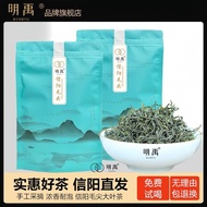 Mingyu Xinyang Maojian Tea Green Tea Before Rain 2026 New Tea Authentic 250g Bag One Sprout Two Leav