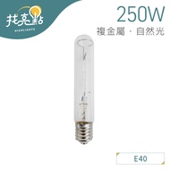 Find Highlights [Dayou Lighting] 250W Composite Metal Bulb 220V E40 Lamp Holder 4,000k (Natural Ligh