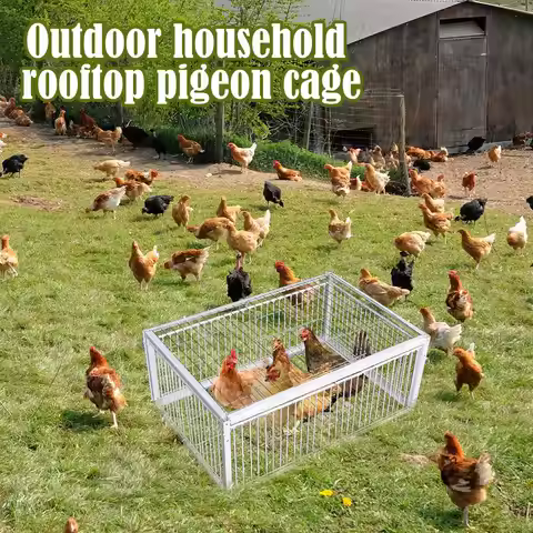 Auto Trap Bird Cage Rabbit Cage Mouse Cage Entry Only No Exit Thickened Encrypted Automatic Pigeon C