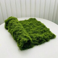 100cm*100cm Artificial Moss Carpet, Aquarium Landscaping Bionic Lawn, Fake Moss Micro Landscape Arra