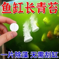 Algae Remover Fish Tank Algae Remover Special for Fish Tank Remover Green Water Green Algae Moss Rem