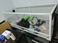 Reptizoo爬蟲缸 龜缸