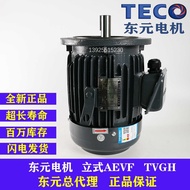 TECO Taiwan TECO Motor 2.2 3.7KW 5.5 7.5KW Vertical AEVF TVGH Brake Brake Motor